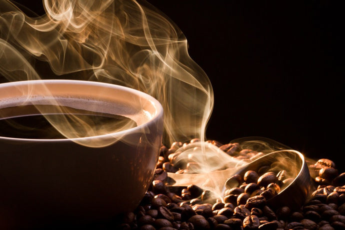 Coffee Beans Characteristics